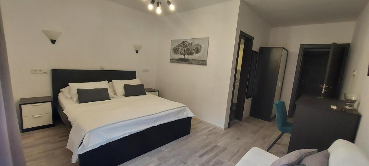Guest House Galeb スペタルスカ・ドラガ 部屋 写真