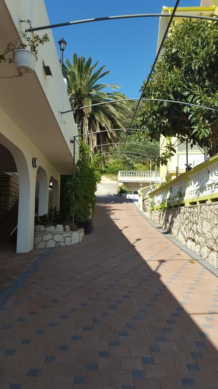 Guest House Galeb スペタルスカ・ドラガ エクステリア 写真